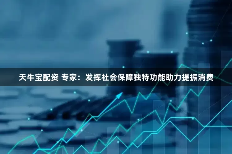 天牛宝配资 专家：发挥社会保障独特功能助力提振消费