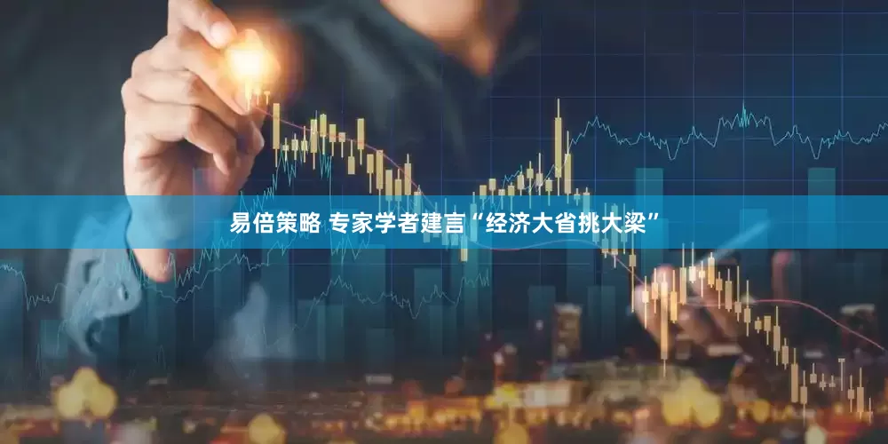 易倍策略 专家学者建言“经济大省挑大梁”