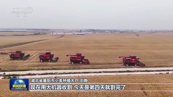 盛康优配 在希望的田野上丨小麦主产区进入收获期&#32;作业效率提升
