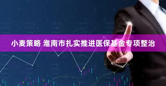 小麦策略 淮南市扎实推进医保基金专项整治