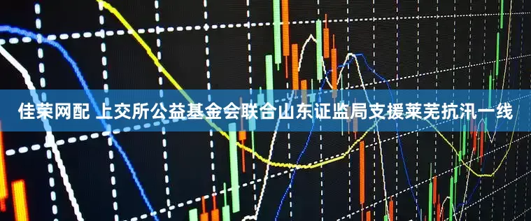 佳荣网配 上交所公益基金会联合山东证监局支援莱芜抗汛一线