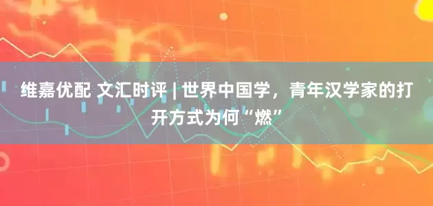 维嘉优配 文汇时评 | 世界中国学,青年汉学家的打开方式为何“燃”