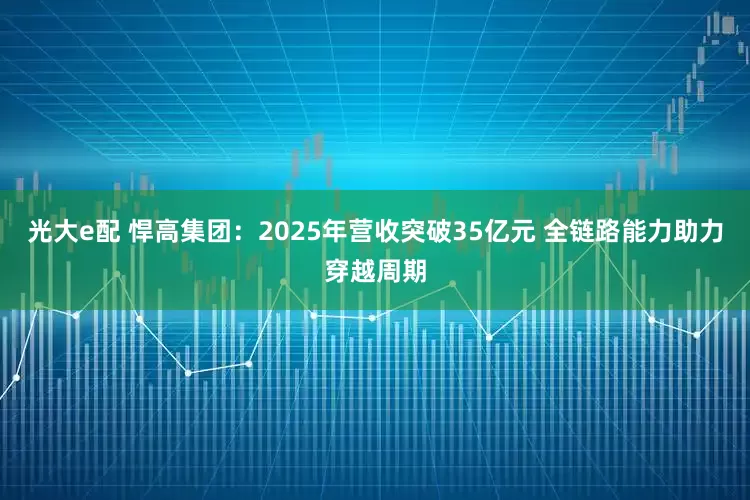 光大e配 悍高集团：2025年营收突破35亿元 全链路能力助力穿越周期